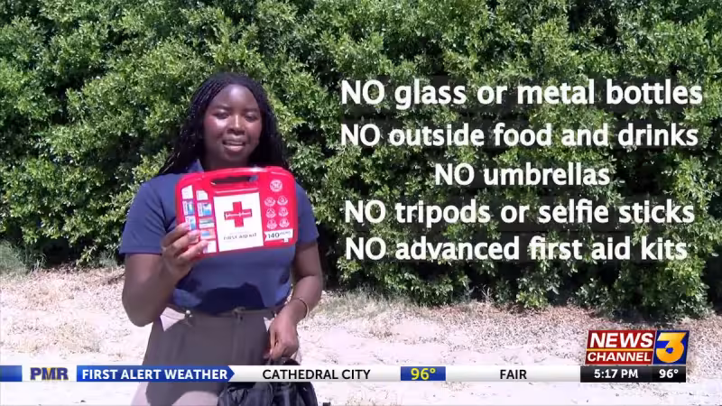 Coachella festival survival guide: everything you need to know