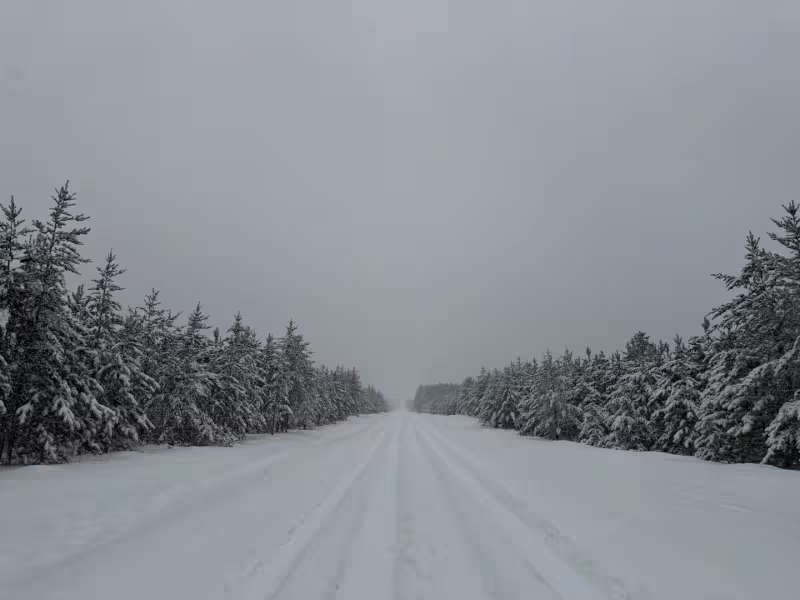 Spring storm dumps snow across northern Minnesota