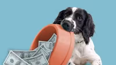 Tax Day Freebies 2026: Restaurant, retail deals run through the week