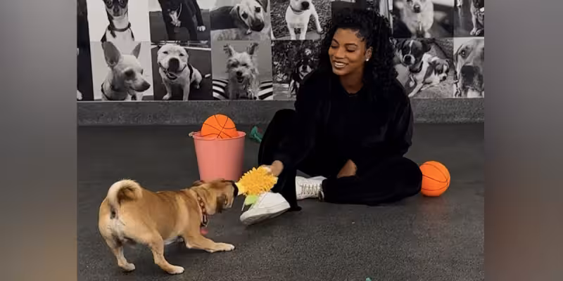 Taylor Rooks Shoots And Scores On Her Basketball-Themed Dodo Dream Date