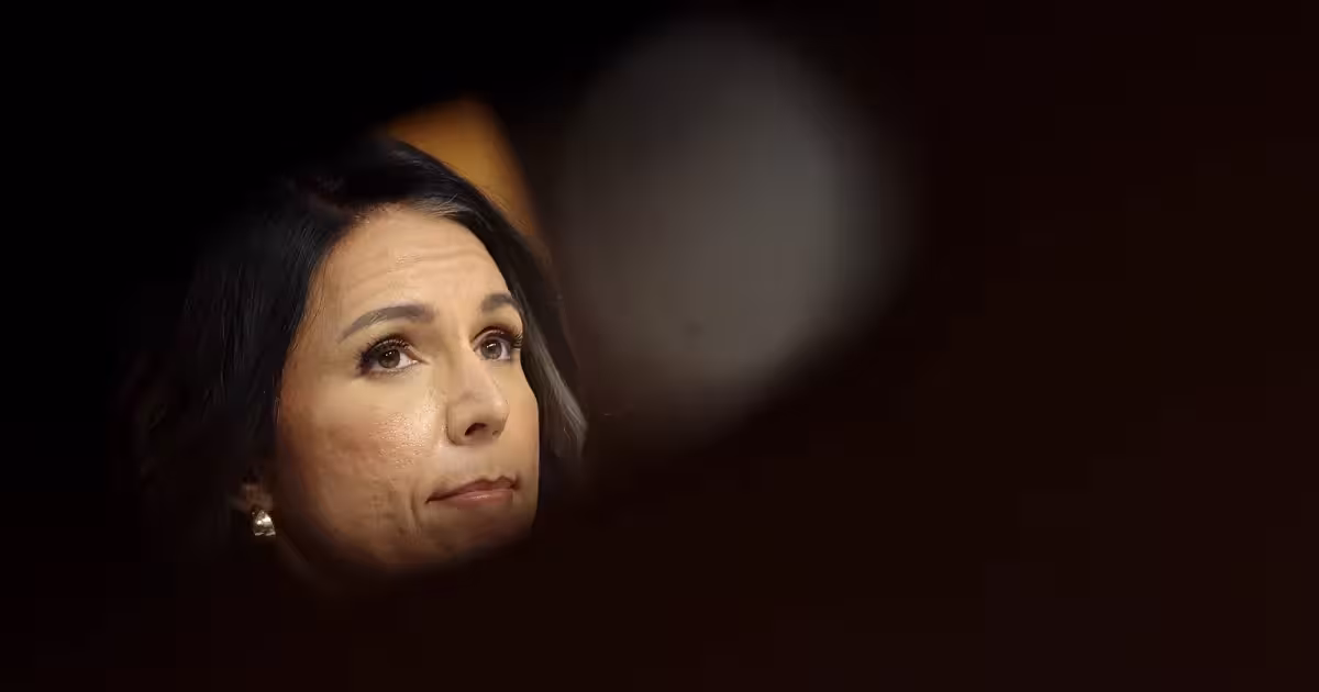 Tulsi Gabbard asks Justice Department to investigate impeachment figures