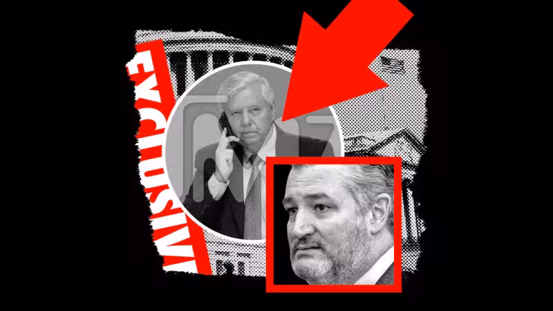 TMZ Turns Its Pitiless Lens on Politicians