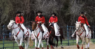 Alliant Energy Center hosts Midwest Horse Fair's first-day sights and sounds