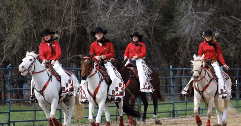 Photos: First day of the Midwest Horse Fair