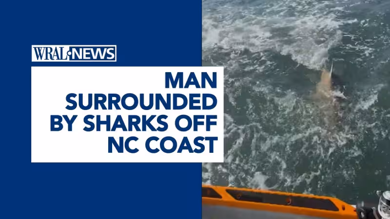 Man surrounded by sharks off NC coast