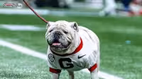 Georgia Bulldogs Football to host top 2027 commits for G-Day recruiting push
