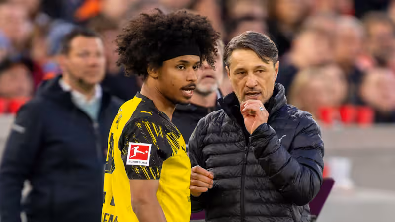 Hoffenheim - Dortmund: Kovac eyes Champions League step and recovery boost