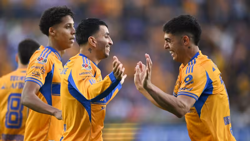 Necaxa - Tigres: UANL visits Estadio Victoria in Jornada 15