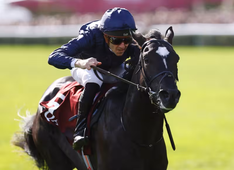 Puerto Rico likely for Newmarket Guineas as O'Brien weighs Gstaad, Albert Einstein