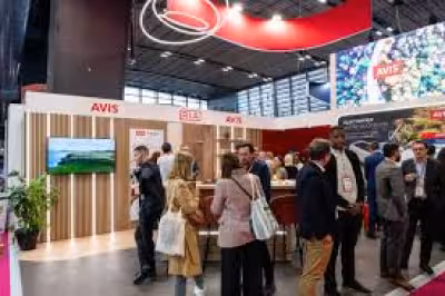 Avis Stock Jumps on Short Squeeze Even as Losses and Risks Mount