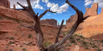 Gilberto Ramos dies after fall on Angels Landing in Zion National Park