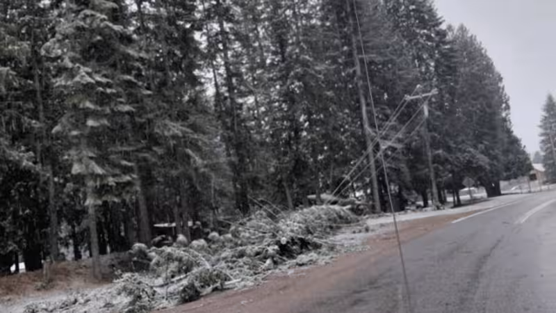 Fema aid unlocked for 10 Idaho counties after December windstorm