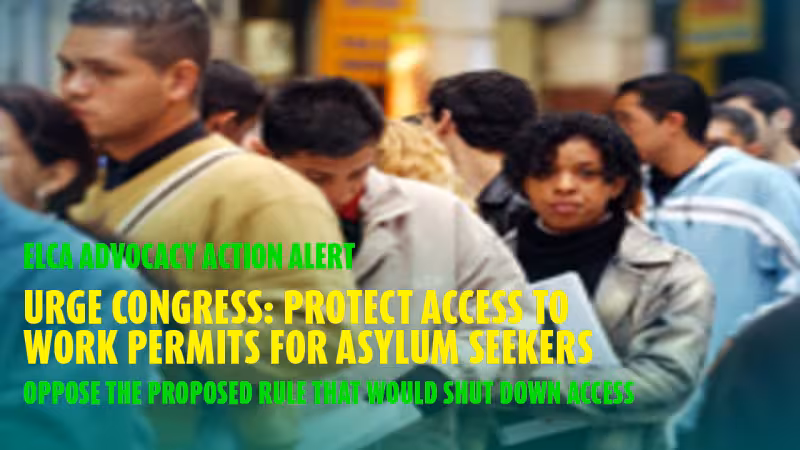 ELCA Action Alert: Protect Employment Authorization for Those Seeking Asylum — Grand Canyon Synod of the ELCA