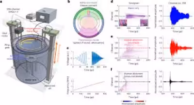 Caltech researchers unveil whole-body ultrasound tomography system