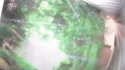 Joplin Mo storm survey confirms EF-1 tornado, 95 mph winds in northwest area