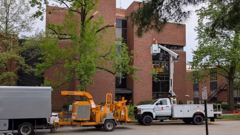 Heavy winds pass through central Illinois; storm threat is diminishing - IPM Newsroom