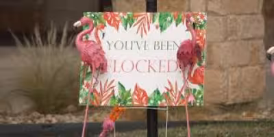 Flamingo Fundraiser Helps Dave’s Wish Ease Hospice Costs for Families