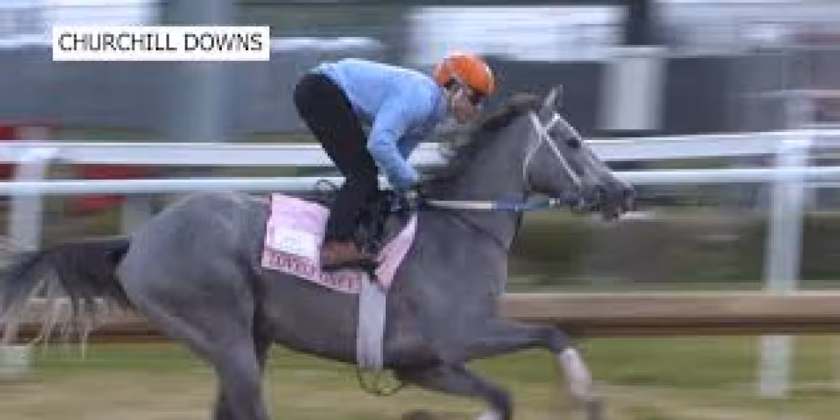 Dave Portnoy backs Lovely Grey as Kentucky Oaks longshot at Churchill Downs