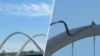 Guido Reichstadter remains atop Frederick Douglass Bridge after Friday climb