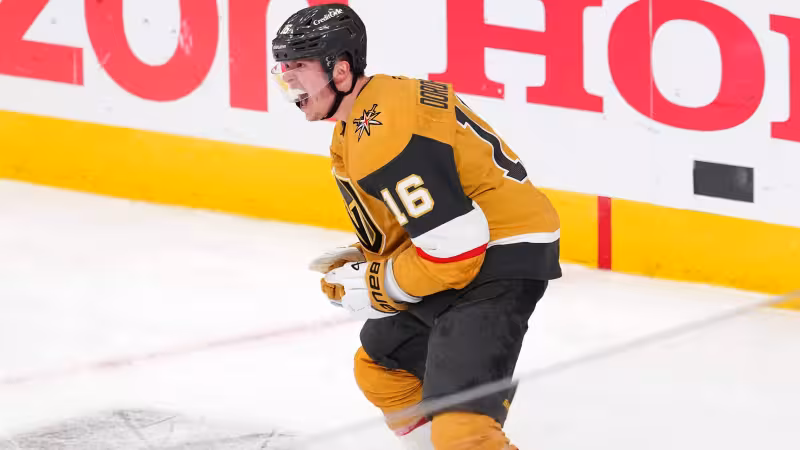NHL Player Props & Best Bets for Today, May 1: Dorofeyev Delivers