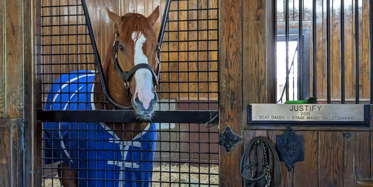 Triple Crown Winners debate returns as Bill Mott defends the schedule