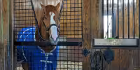 Triple Crown Winners debate returns as Bill Mott defends the schedule