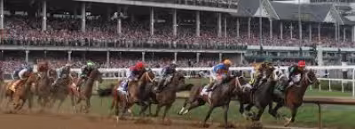 Crude Velocity Horse headlines 11-horse Pat Day Mile field at Churchill Downs