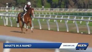 Derby Horse Names: Why Churchill Downs Displays Them and What Rules Apply