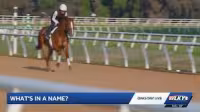 Derby Horse Names: Why Churchill Downs Displays Them and What Rules Apply