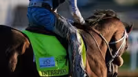 John Velazquez tops $500 million as Further Ado rider eyes Derby