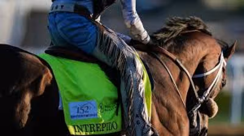 Kentucky Derby odds 2026 at Churchill Downs today: Betting guide, horses, jockeys