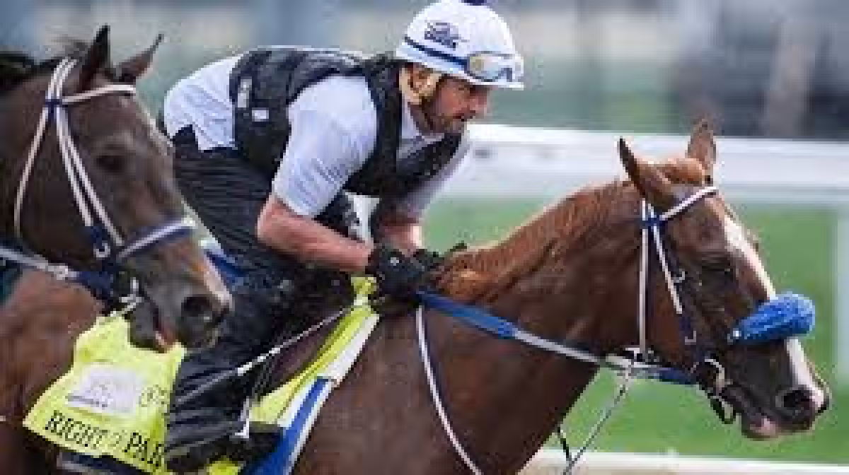 Louisville Ky Weather Turns Cold for Derby Day at Churchill Downs