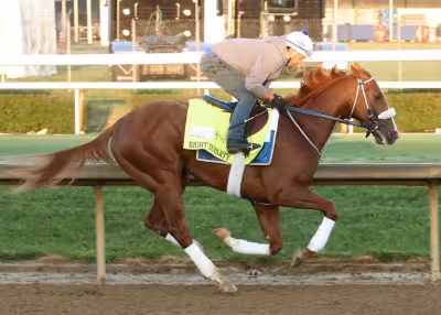 Robusta Horse gets Kentucky Derby call-up after Right To Party scratch