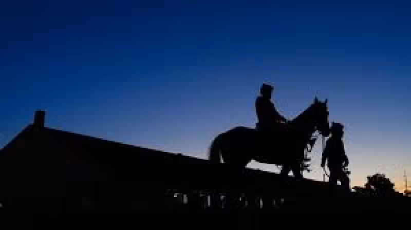 Who is Kentucky Derby horse a descendant of? Golden Tempo pedigree