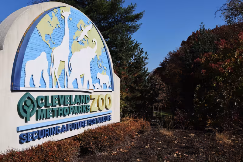 Cleveland Metroparks Zoo considering themed hotel - Signal Cleveland