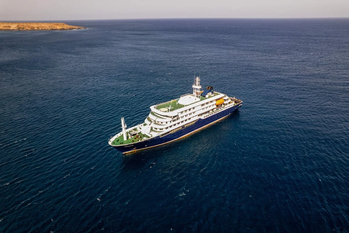 Hantavirus outbreak on Atlantic cruise ship leaves three dead, WHO says