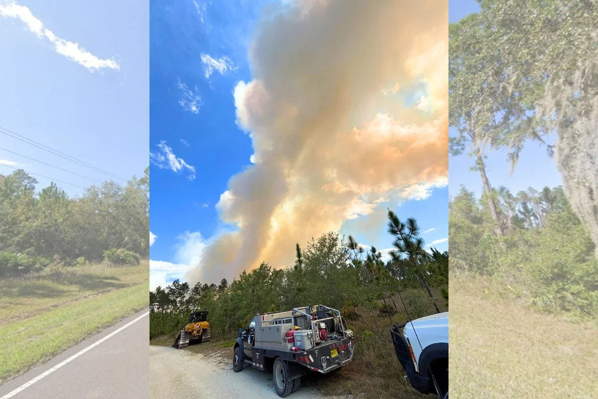 Gainesville Fire grows past 100 acres, shuts road in Hawthorne