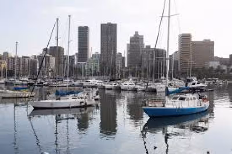 South Africa private sector growth hits 44-month high, PMI shows