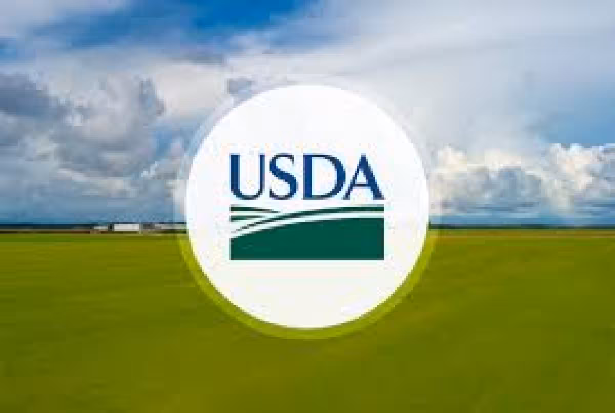 Usda New Snap Retailer Rules Target Corner Stores, Farmers' Markets