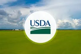 Usda New Snap Retailer Rules Target Corner Stores, Farmers' Markets