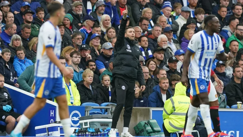 Brighton Vs Wolves: Europa chase meets relegation scrap at the Amex