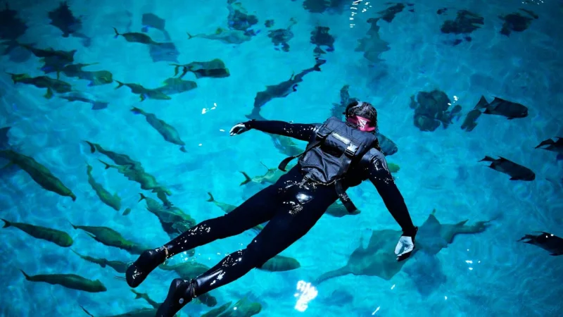 Georgia Aquarium mention omitted as obituary notices list four deaths in Cookeville area