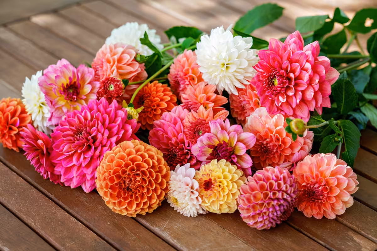 Lowes Free Flowers Return May 9 at Greater Miami Stores for MyLowe’s Members