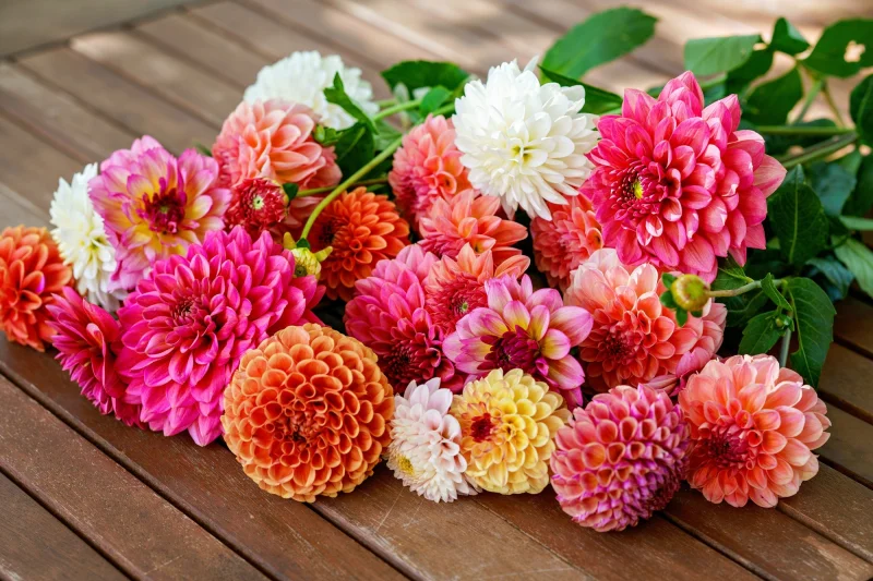 Lowes Free Flowers Return May 9 at Greater Miami Stores for MyLowe’s Members