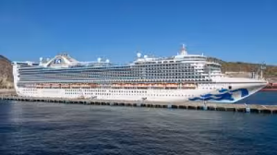 Norovirus Cruise Ship Sickens 115 Aboard Caribbean Princess Voyage