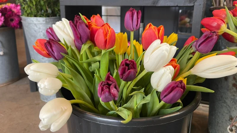 What Day Is Mother's Day? What Most Moms Really Want