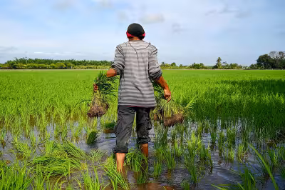 Malaysia turns to cloud seeding as drought stalls rice planting in the north