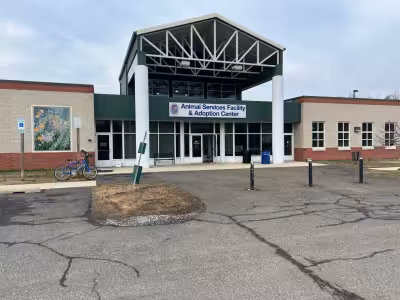 Prince George’s County opens Vaccination Clinic for dogs and cats May 17