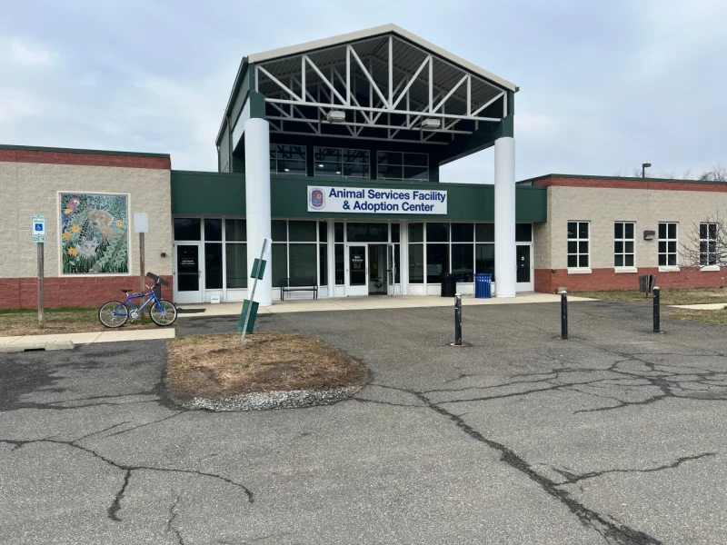 Prince George’s County opens Vaccination Clinic for dogs and cats May 17