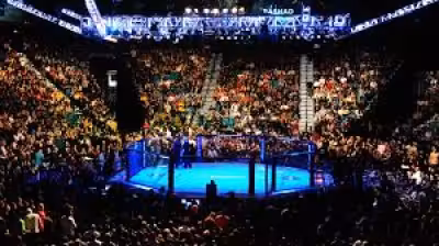 White House Card Ufc betting guide as Freedom 250 nears